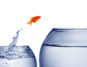 Ein Fisch springt aus einem Fischglas.