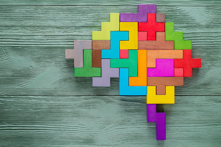 Mehrere farbige Holzklötze ergeben zusammengesetzt das Bild eines menschlichen Gehirns.
