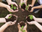 Menschen halten Setzlinge in der Hand, um sie in die Erde einzupflanzen.