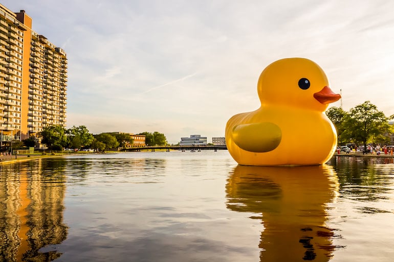 Eine riesige Gummi-Ente schwimmt auf einem See.