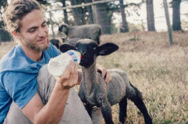 Junger Mann füttert Ziege während seines Freiwilligendienstes