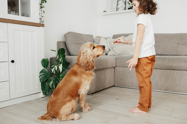 Mädchen trainiert mit Hund