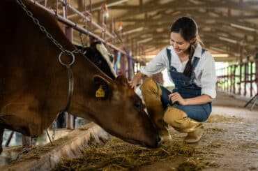 Tierwirtin kümmert sich um Rind.