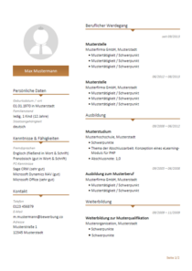 Lebenslauf Vorlage "Design - Trennstreifen braun"