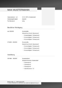 Lebenslauf Vorlage "professionell – grau"