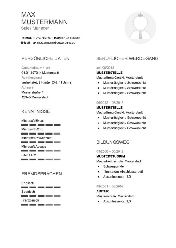 Lebenslauf Vorlag "professionell – grau"