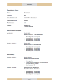 Lebenslauf Vorlage "Layout - tabellarisch, braun"