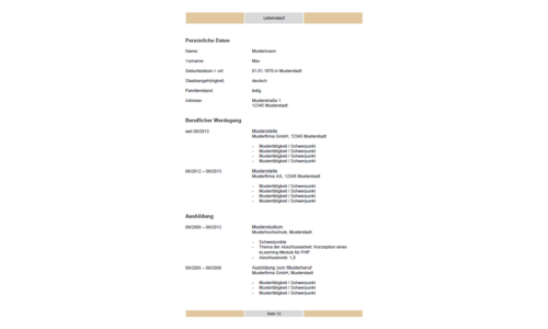 Lebenslauf Vorlage "Layout - tabellarisch, braun"